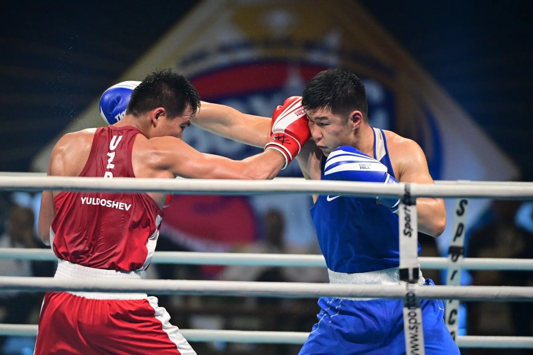 0d0c28160190daf446a7946e59793b06