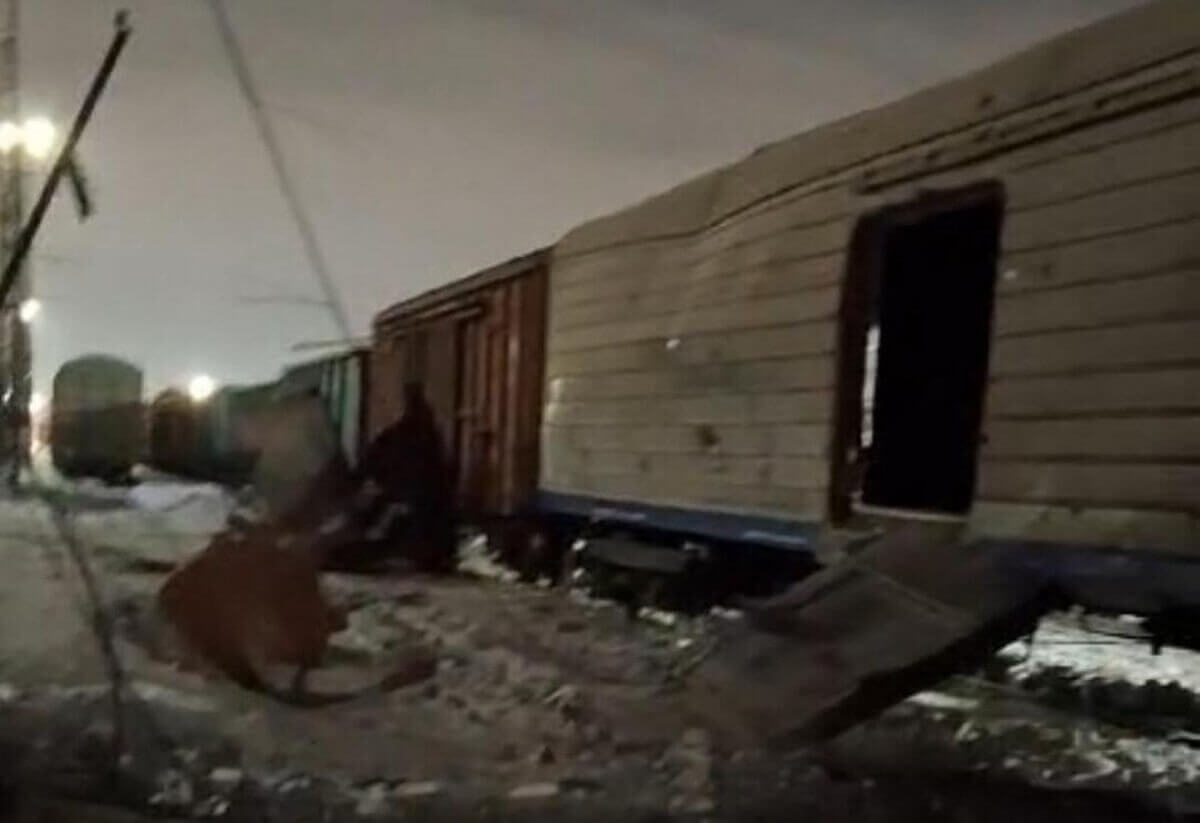 67b58308c8b7b468741678