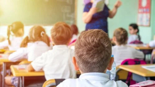 shutterstock 1185142306 500x281 1