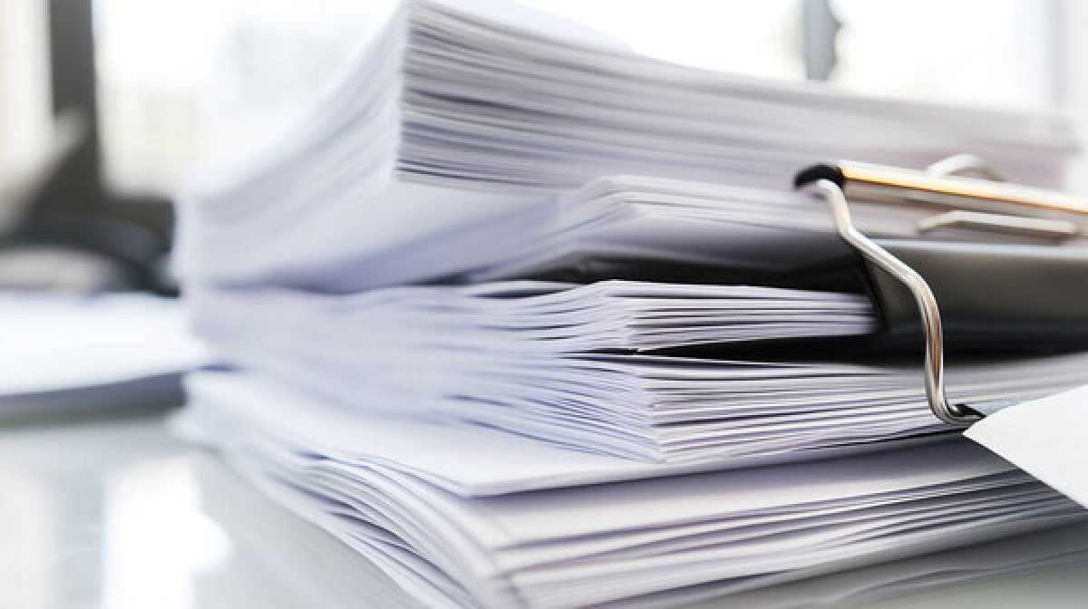 x1739162955 img 4078.jpeg.pagespeed.ic .buih4 0w8