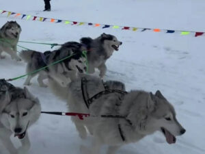 Фестиваль «Бұқтырма балықшысы – 2025»: в ВКО выбрали лучшего рыбака