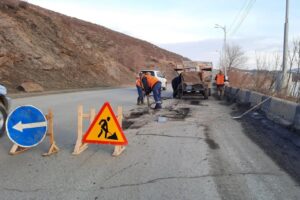 Дендрологическую карту региона создадут в Восточном Казахстане 4 Дендрологическую карту региона создадут в Восточном Казахстане