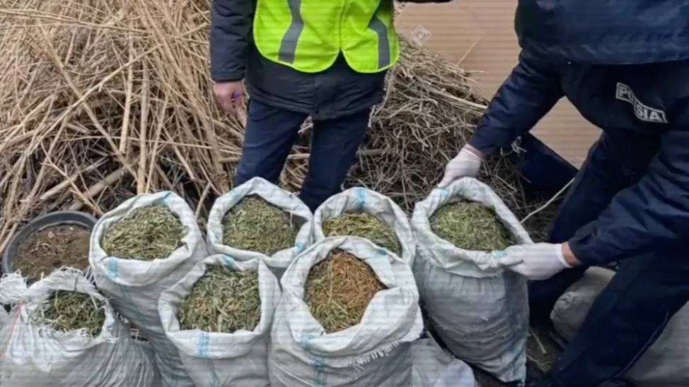 7d47b3c4 7b50 4d62 8104 2049cc85cda0