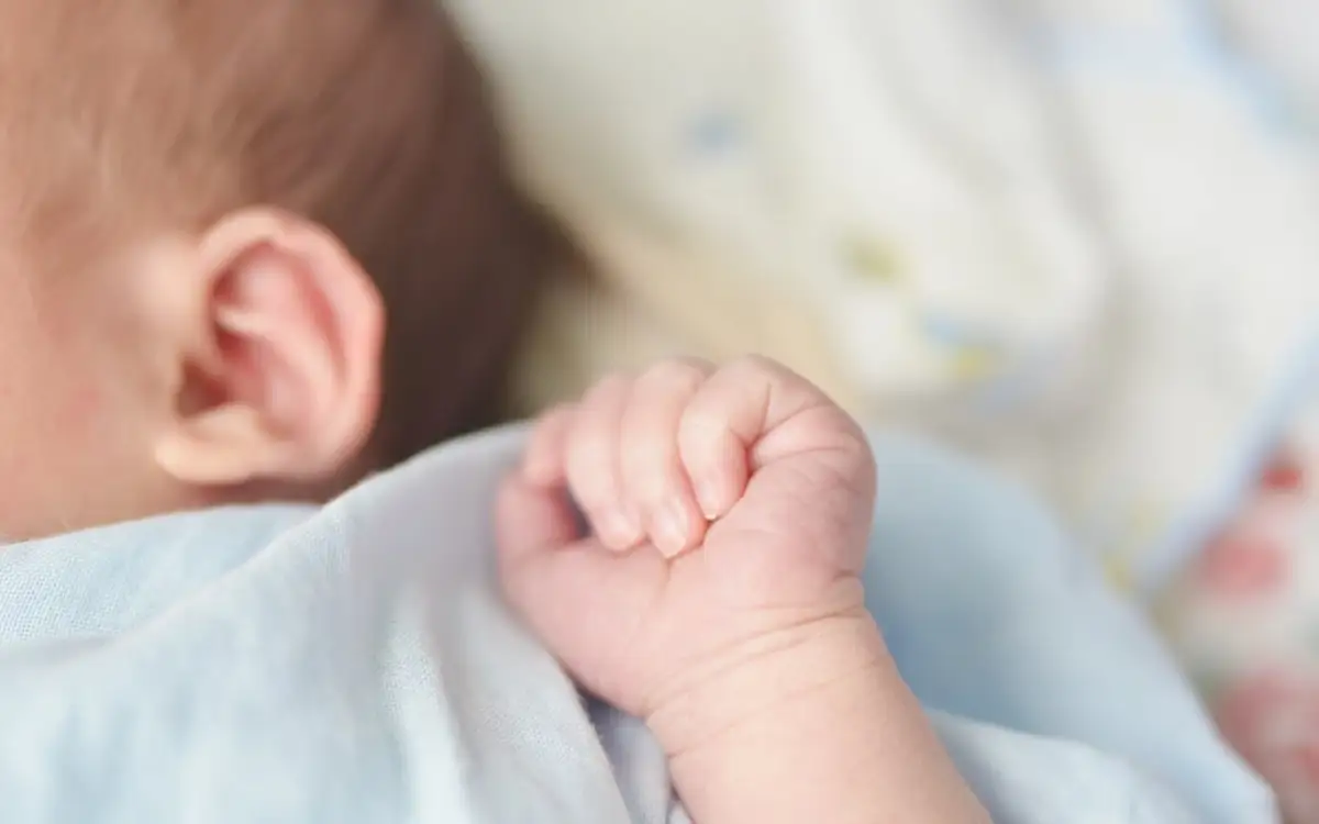 a6f2f7b8 1336 47cf 9a6b 6225f1443fb6