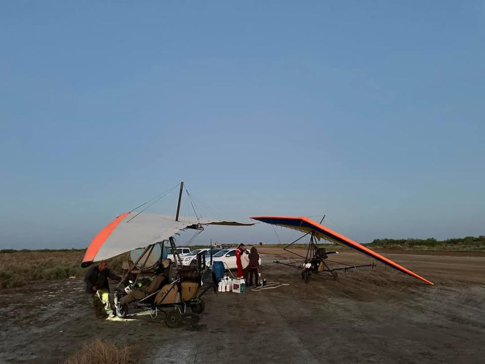 В Кызылординской области обработано более 10 тыс га сельхозземель против саранчовых вредителей.