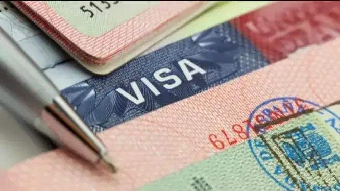 d1736d91 ff6f 4337 89a4 135f884f3da4