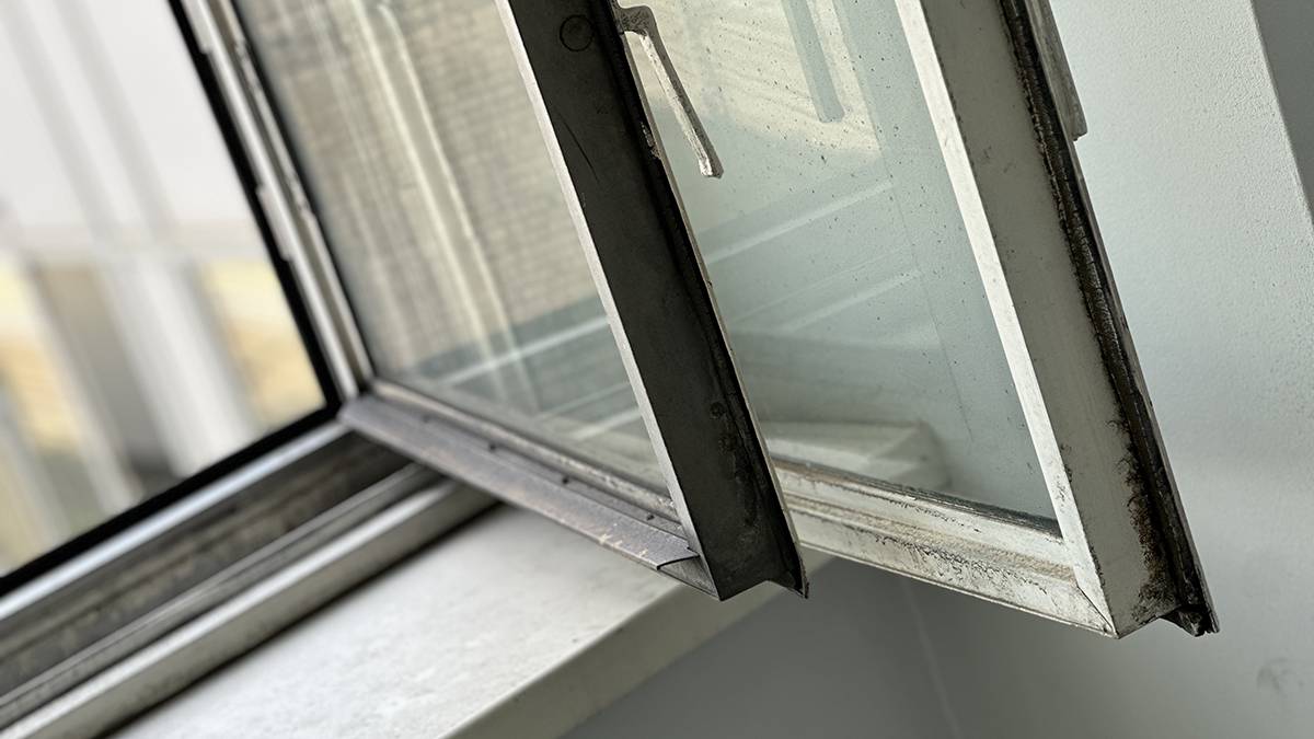 1200 668523e282682c3a93fa5bce