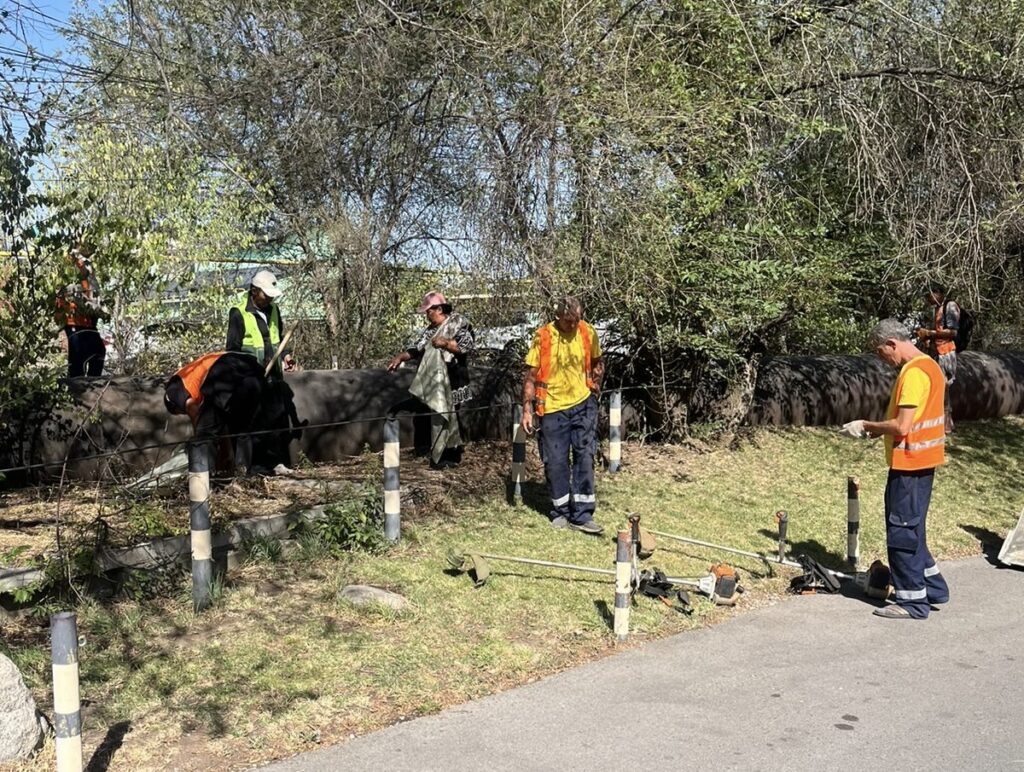 В Алматы прошёл масштабный субботник ко Дню Конституции 2 В Алматы прошёл масштабный субботник ко Дню Конституции