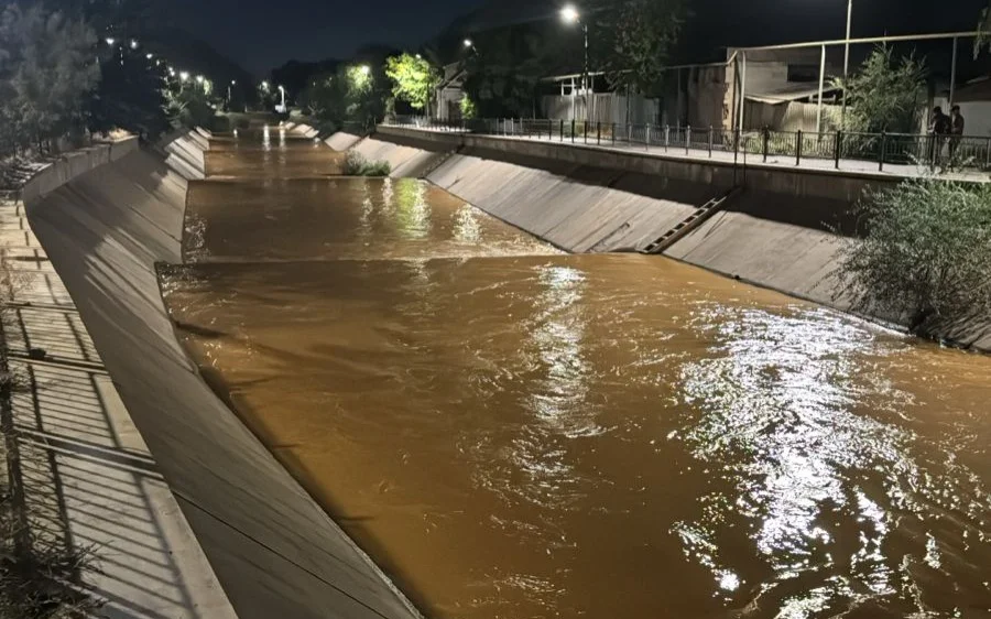 dedbd728 f281 4a96 a365 71f78f4ede97