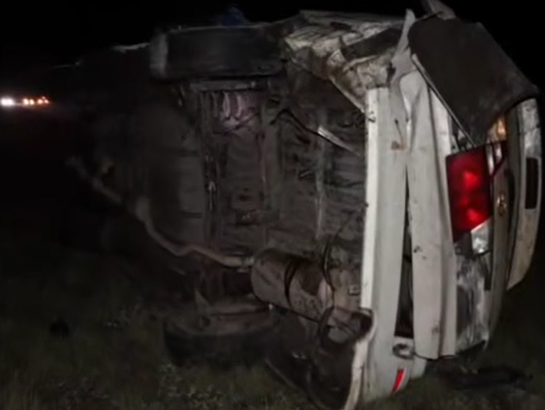 Очередное смертельное ДТП с Alphard: автомобиль наехал на лошадь в Павлодарской области