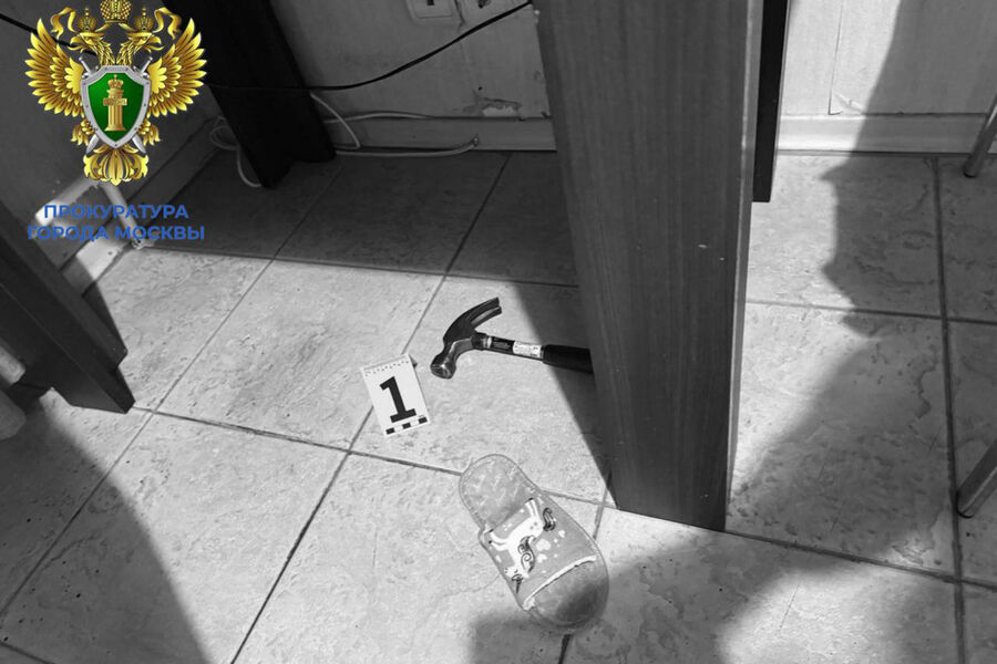 photo 2025 11 12 20 46 54 pic 32ratio 900x600 900x600 20134