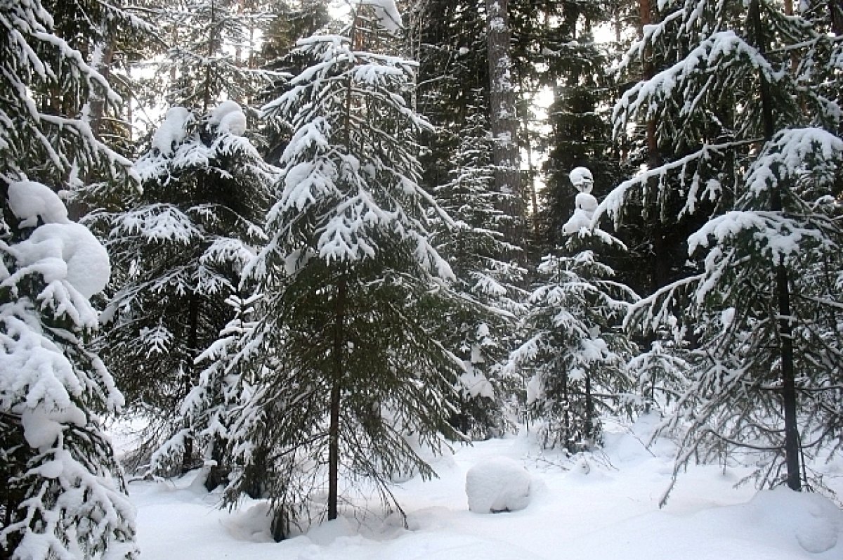 8b9afa1fa92b6934bf4e22bffa6fc9d7