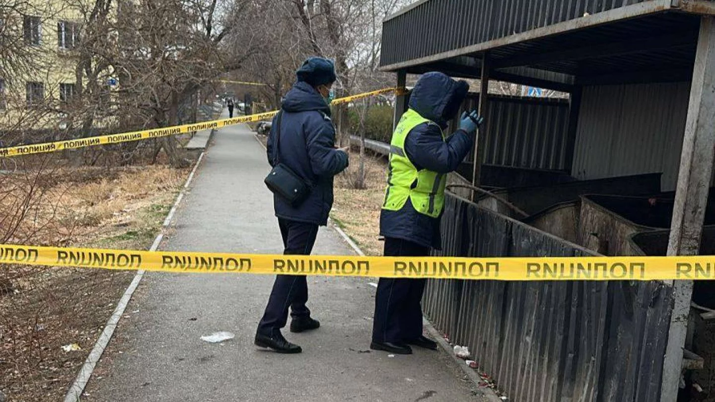 photo 2025 12 09 20 22 44