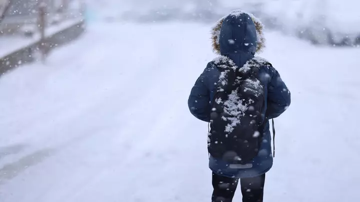 Где в Казахстане школьников перевели на дистанционное обучение