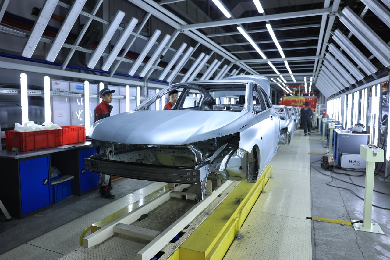 photo 5213054248612991855 y