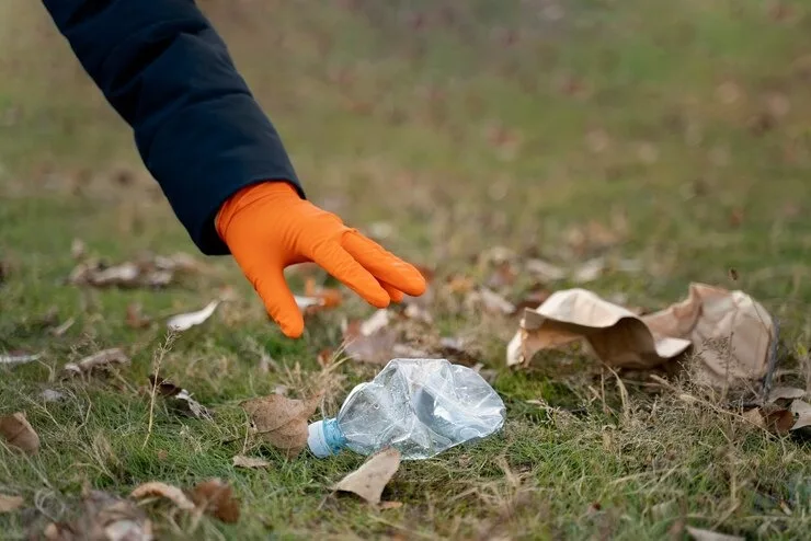 photo1711779403 jpeg