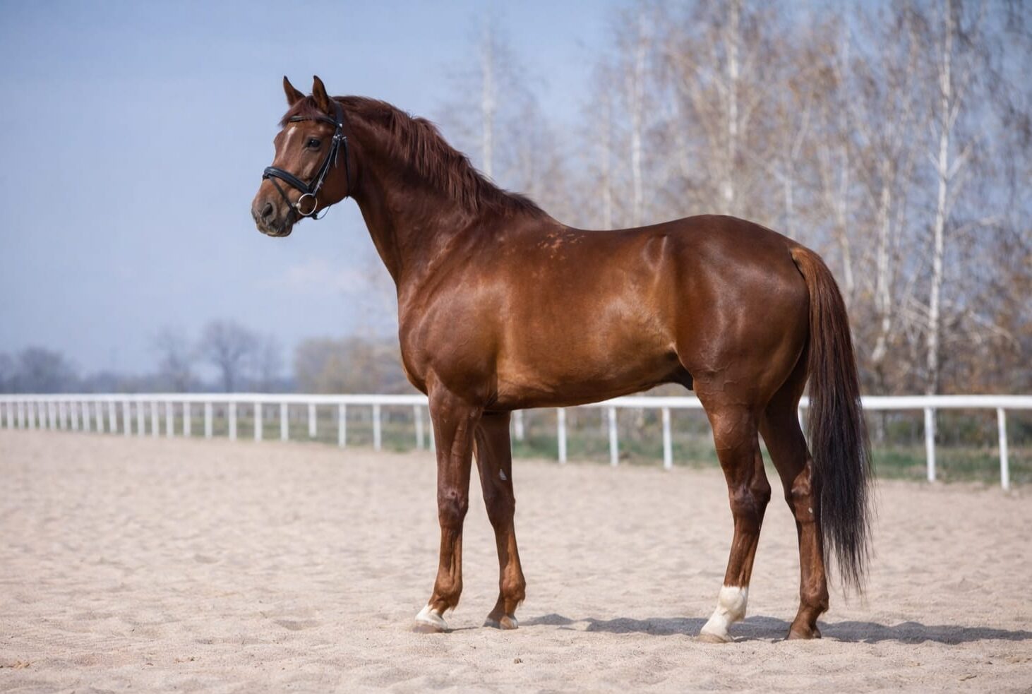 whatsapp image 2026 04 06 at 2.52.19 pm e1775471366147