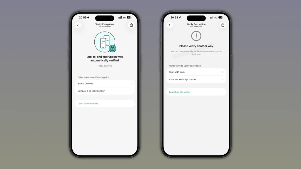 wa verify end to end encryption automatically feature ios
