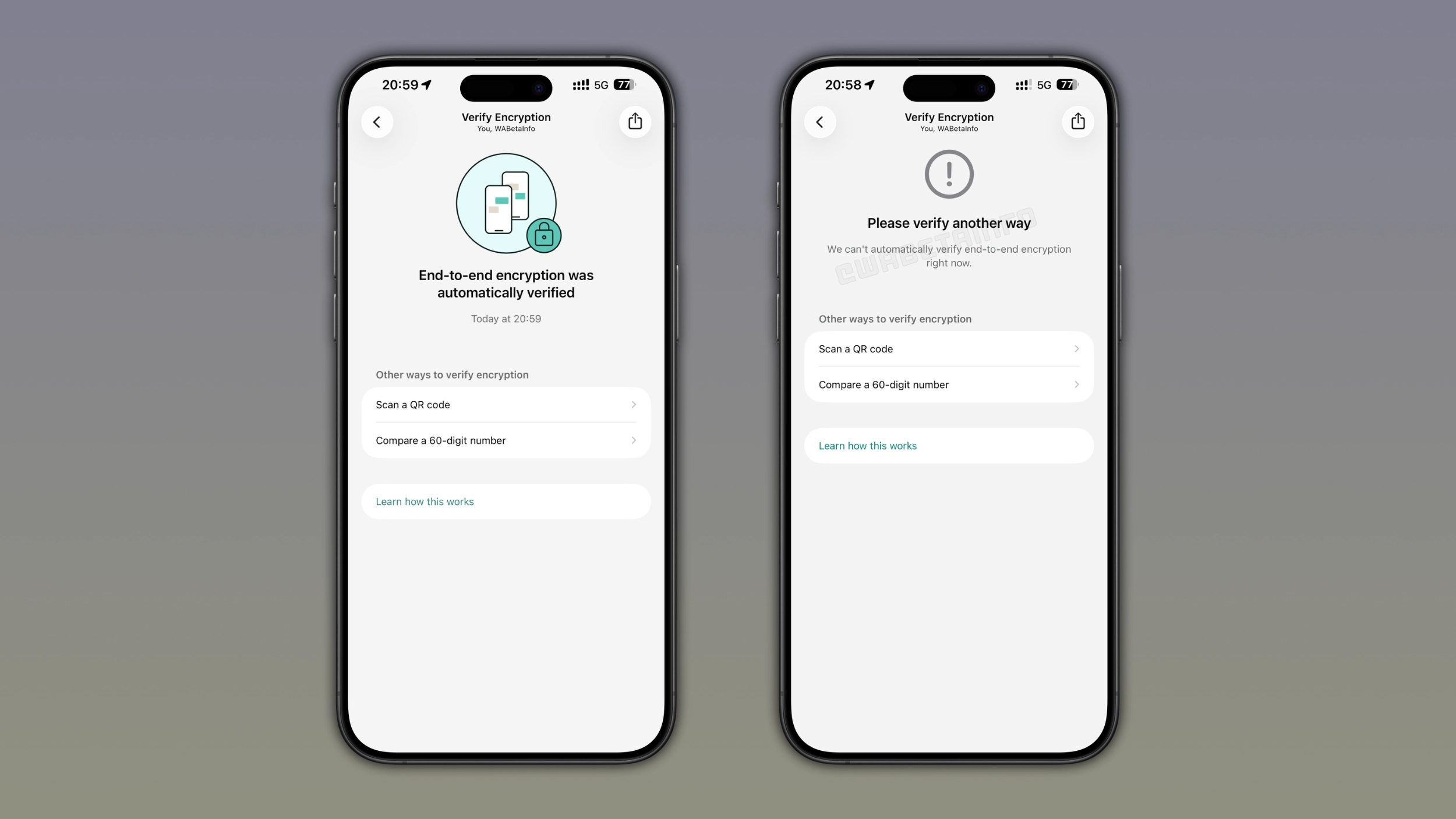 wa verify end to end encryption automatically feature ios