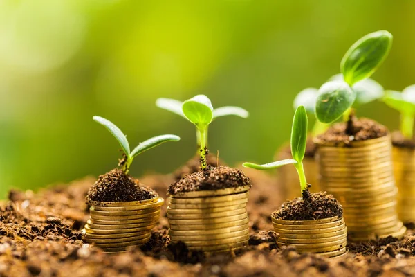 depositphotos 114717242 stock photo coins in soil with young
