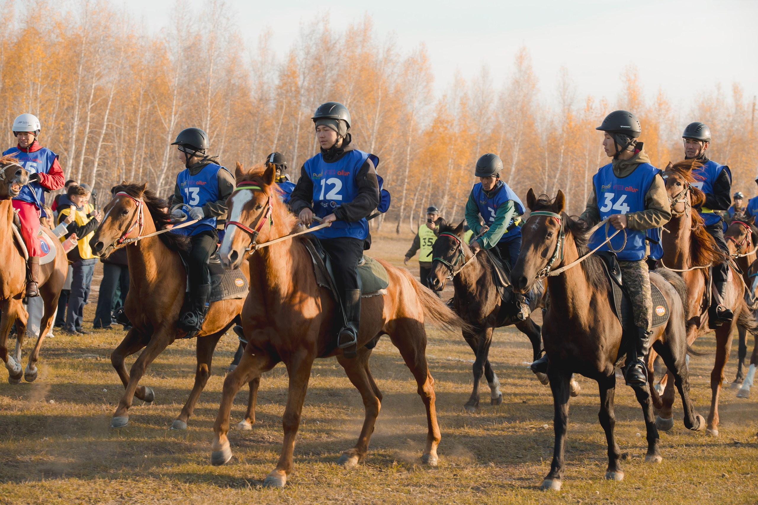 Казахстанские всадники заняли весь пьедестал международного турнира Allur Endurance CUP 2026