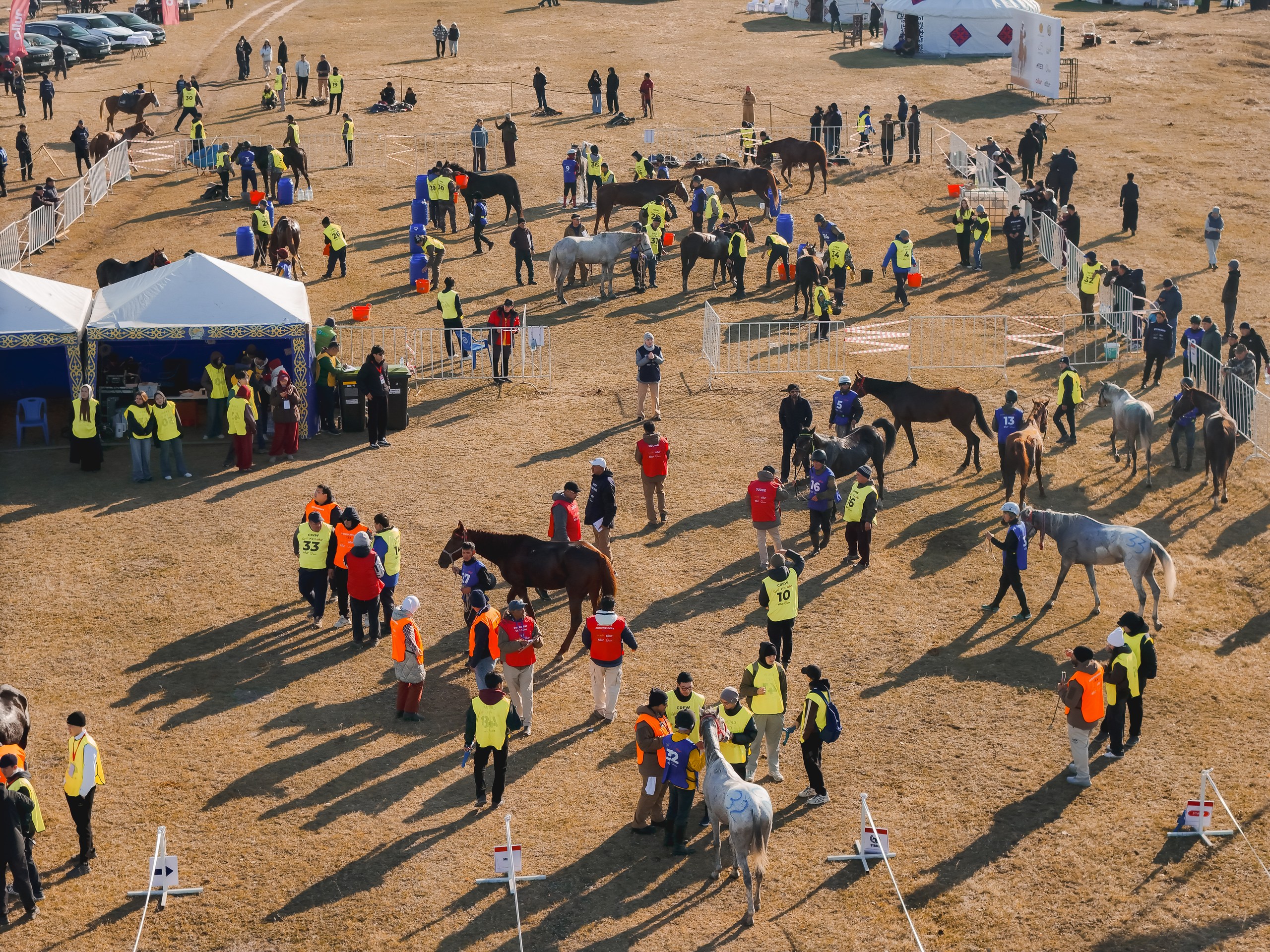 Казахстанские всадники заняли весь пьедестал международного турнира Allur Endurance CUP 2026