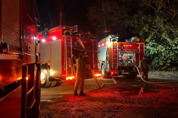 В ВКО при пожаре в доме погибли женщина и двое детей
